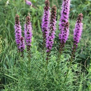 Meet your Posher, Danica